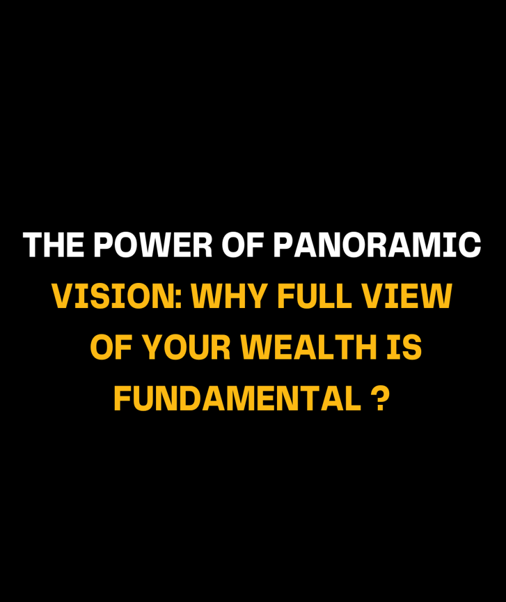 The Power of Panoramic Vision: Why full View of Wealth is Fundamental?